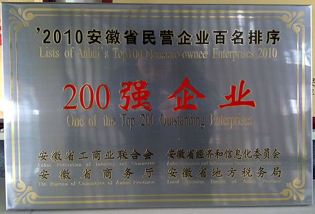 安徽省民营企业200强企业