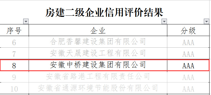 喜讯｜公司荣获2021年（第二次）合肥市施工企业信用综合评价双项AAA信用等级(图3)